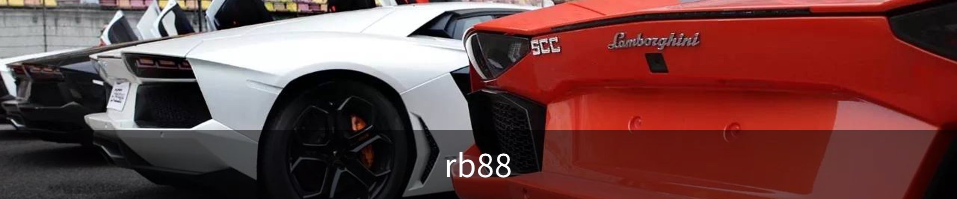 RB88·(中国区)官方网站